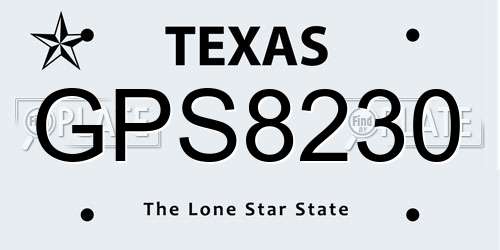 GPS8230 Texas License Plate