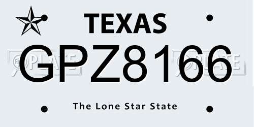 GPZ8166 Texas License Plate