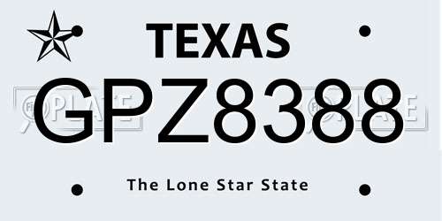GPZ8388 Texas License Plate
