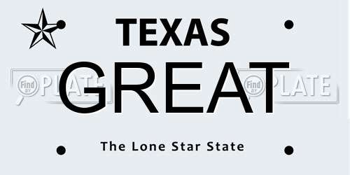 GREAT Texas License Plate
