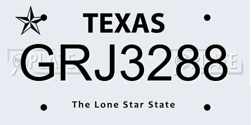 GRJ3288 Texas License Plate