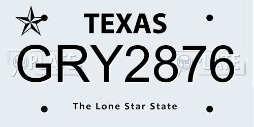 GRY2876 Texas License Plate