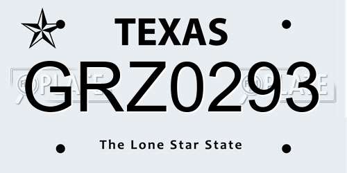 GRZ0293 Texas License Plate
