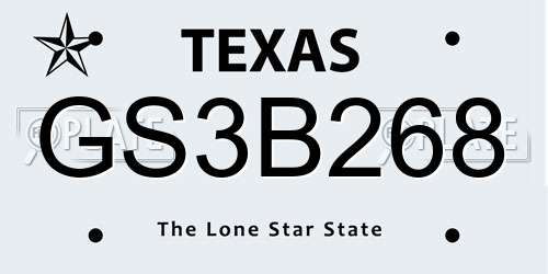 GS3B268 Texas License Plate