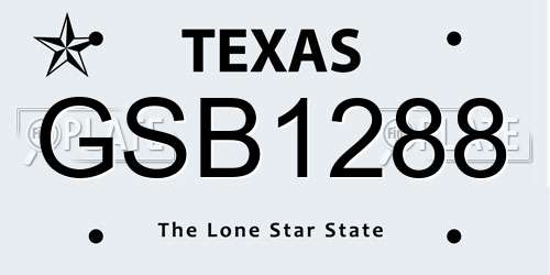 GSB1288 Texas License Plate