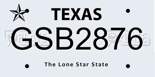 GSB2876 Texas License Plate