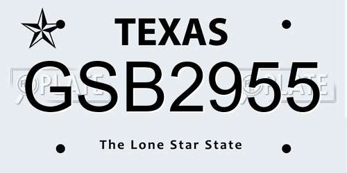 GSB2955 Texas License Plate
