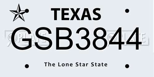 GSB3844 Texas License Plate