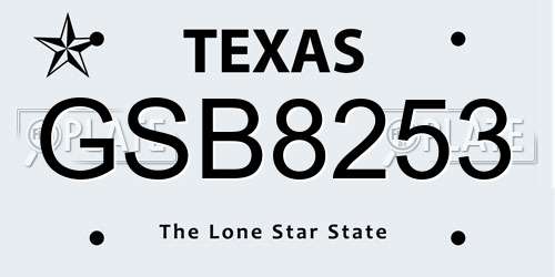 GSB8253 Texas License Plate
