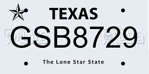 GSB8729 Texas License Plate