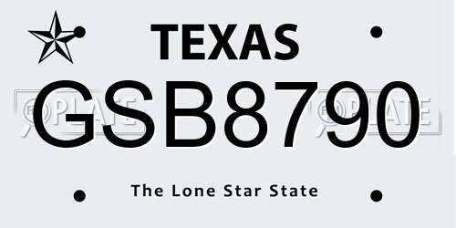 GSB8790 Texas License Plate