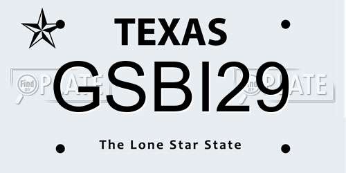 GSBI29 Texas License Plate