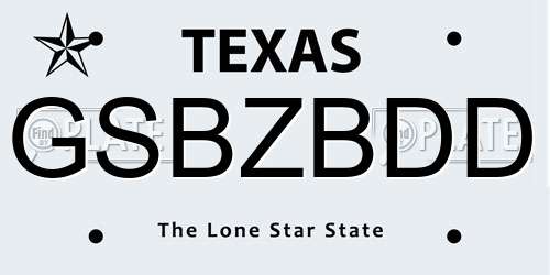 GSBZBDD Texas License Plate