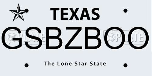 GSBZBOO Texas License Plate
