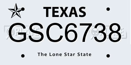 GSC6738 Texas License Plate