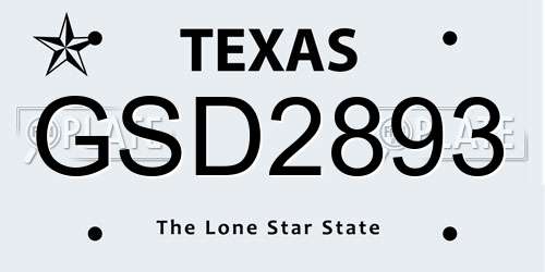 GSD2893 Texas License Plate