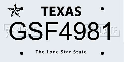 GSF4981 Texas License Plate