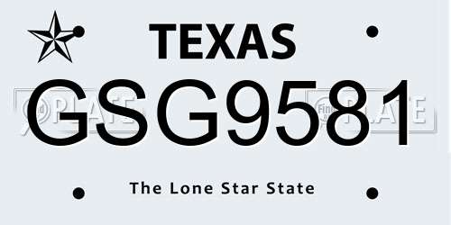 GSG9581 Texas License Plate