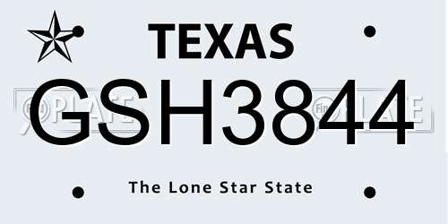 GSH3844 Texas License Plate