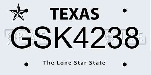 GSK4238 Texas License Plate