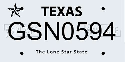 GSN0594 Texas License Plate