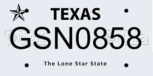 GSN0858 Texas License Plate