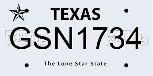 GSN1734 Texas License Plate