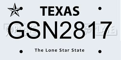GSN2817 Texas License Plate