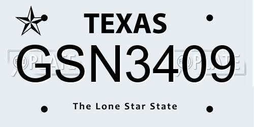 GSN3409 Texas License Plate
