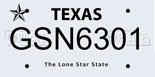 GSN6301 Texas License Plate