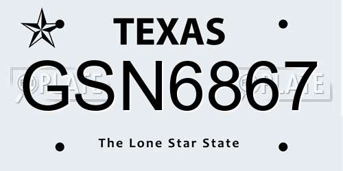 GSN6867 Texas License Plate
