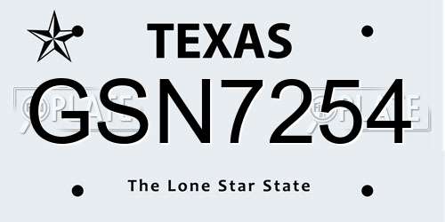 GSN7254 Texas License Plate
