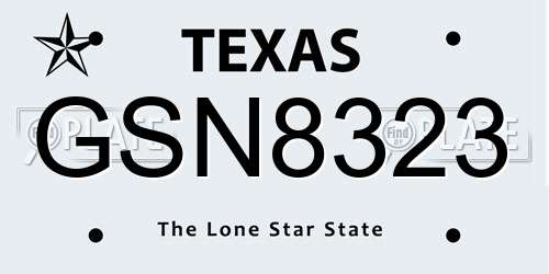 GSN8323 Texas License Plate