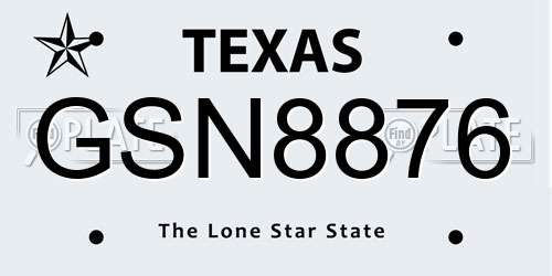 GSN8876 Texas License Plate