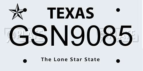 GSN9085 Texas License Plate
