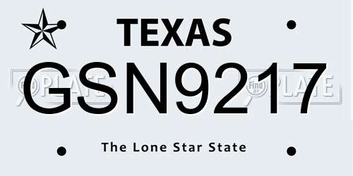 GSN9217 Texas License Plate