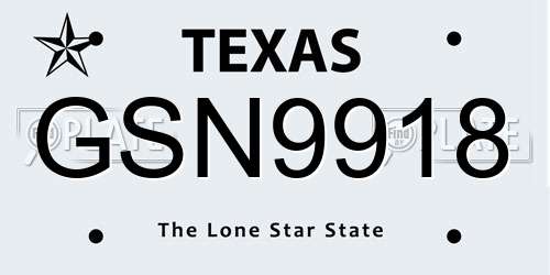 GSN9918 Texas License Plate