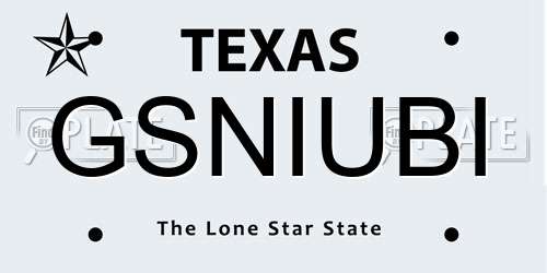 GSNIUBI Texas License Plate