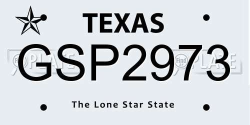 GSP2973 Texas License Plate