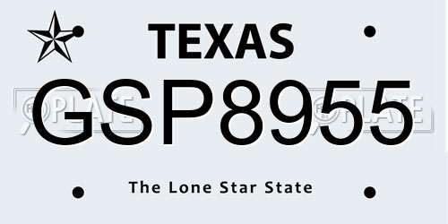 GSP8955 Texas License Plate