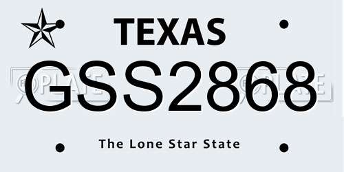 GSS2868 Texas License Plate