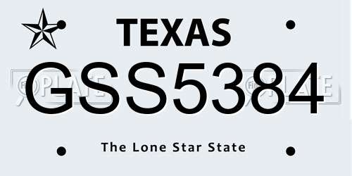 GSS5384 Texas License Plate