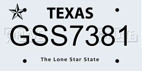 GSS7381 Texas License Plate