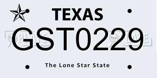 GST0229 Texas License Plate