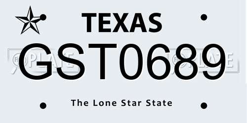 GST0689 Texas License Plate