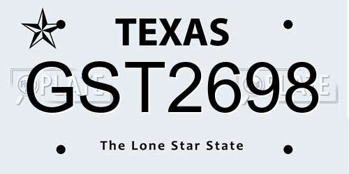 GST2698 Texas License Plate