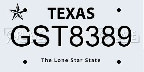 GST8389 Texas License Plate