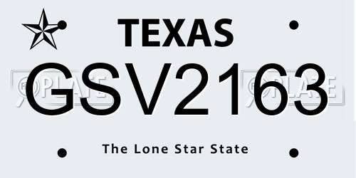GSV2163 Texas License Plate