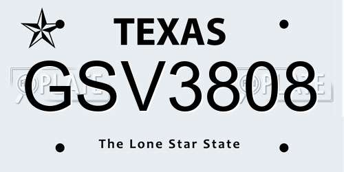 GSV3808 Texas License Plate