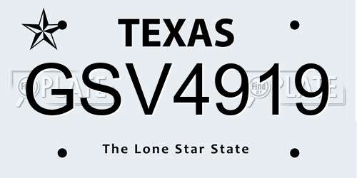 GSV4919 Texas License Plate